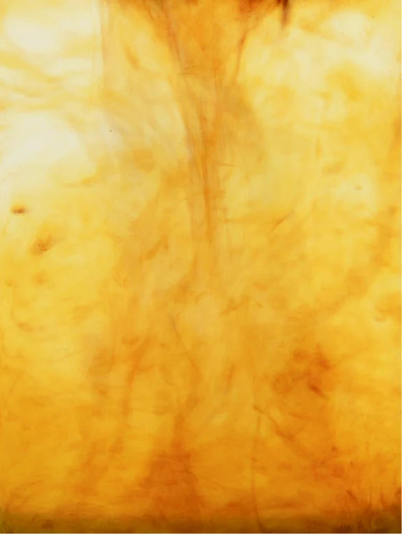 Silk Skin Body Serum Woody Amber & Leather